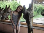 DSC06553