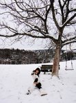 DSC07810