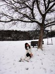 DSC07812