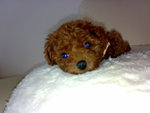 200801132326_G