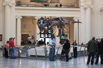 IMG_7535