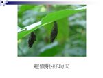 ���n����34
