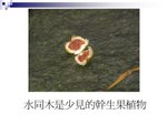 �ˤs�B�D10