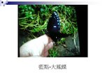 �ˤs�B�D46