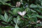 DPP_0027