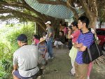 Resize of IMG_6652