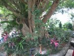 Resize of IMG_6671