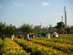 DSCN0005