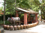 DSCN7317