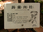 DSCN7321