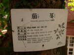 DSCN7334