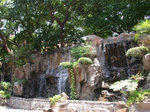 DSCN7336
