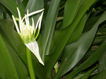 DSCN7340