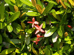 DSCN7344