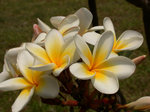 DSCN7347
