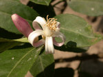 DSCN7368