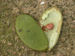 DSCN7379