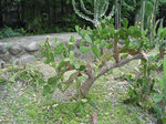 IMG_0114