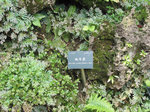 IMG_0141
