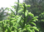 IMG_0008