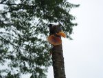 102_2499