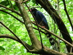 DSCF0355