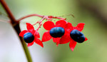 12. �s���(���@���)
