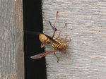 IMG_0048