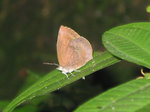 IMG_0077