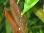 IMG_0020