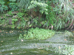 IMG_0051