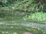 IMG_0052