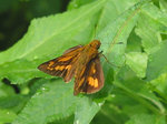 IMG_0064