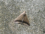 IMG_0076