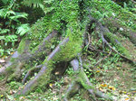 IMG_0061