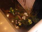 DSC01837