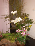 DSC01848