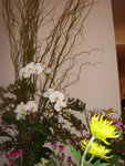 DSC01849