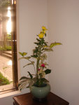 DSC01860