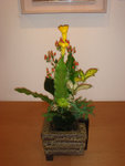 DSC01875