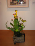 V-DSC01854