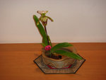 V-DSC01855