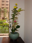 V-DSC01862