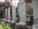 DSCN8638