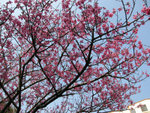 IMG_1677