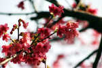 IMG_6932