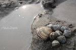 TIMG_0017_resize