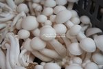 TIMG_8855
