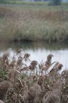 20100123_36
