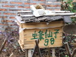 DSCF2874